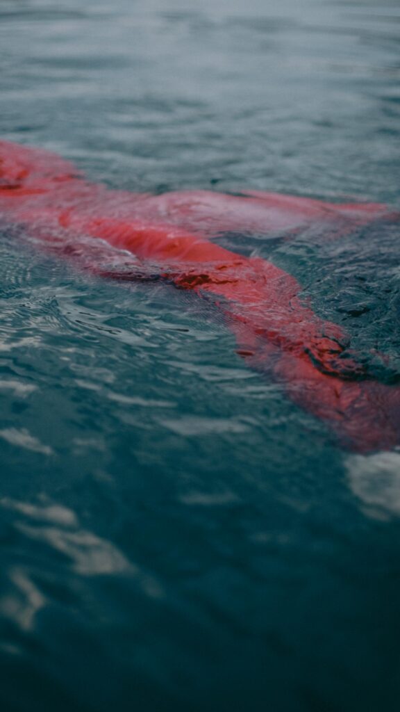 Rotes Objekt im Wasser schwimmend